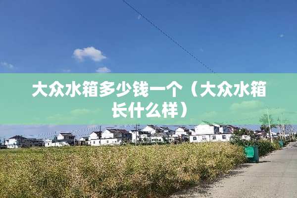 大众水箱多少钱一个（大众水箱长什么样）