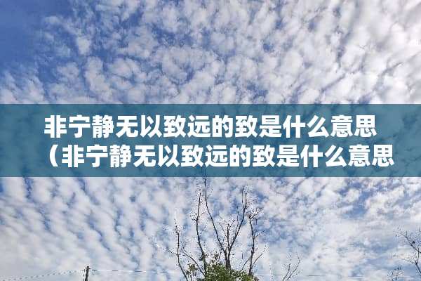 非宁静无以致远的致是什么意思（非宁静无以致远的致是什么意思什么词性）