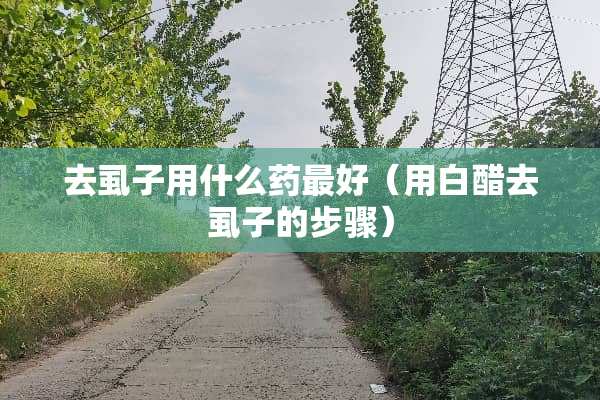 去虱子用什么药最好（用白醋去虱子的步骤）