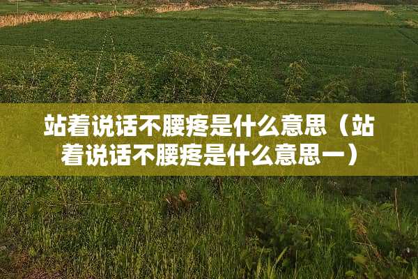 站着说话不腰疼是什么意思（站着说话不腰疼是什么意思一）