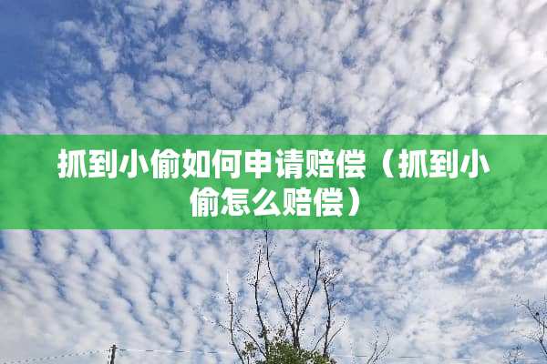 抓到小偷如何申请赔偿（抓到小偷怎么赔偿）