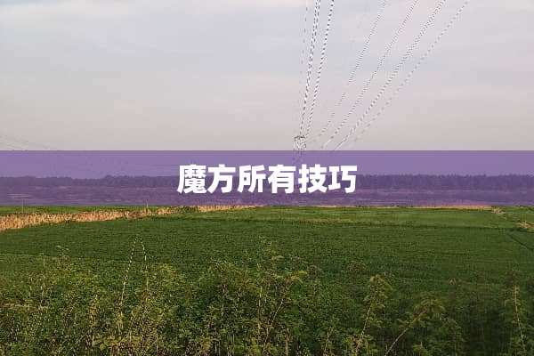 魔方所有技巧