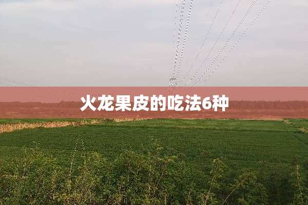 火龙果皮的吃法6种