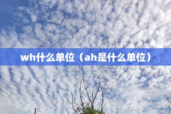 wh什么单位（ah是什么单位）