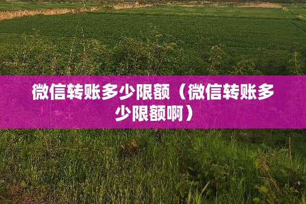 微信转账多少限额（微信转账多少限额啊）