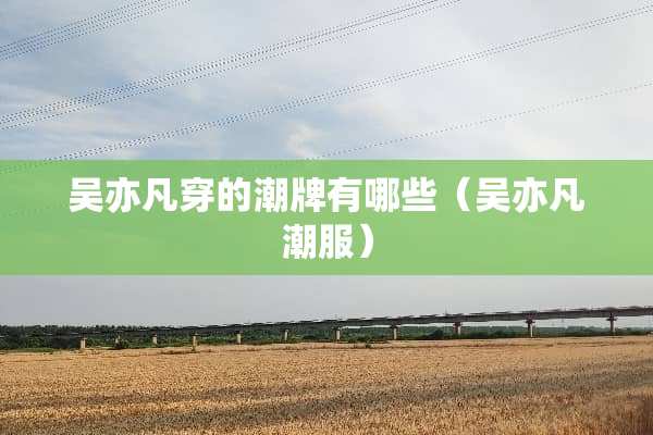 吴**穿的潮牌有哪些（吴**潮服）
