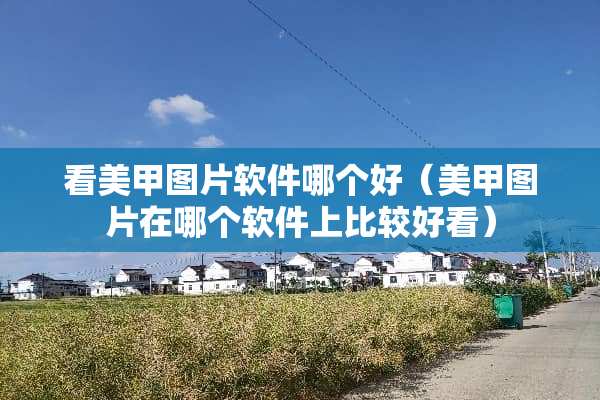 看美甲图片软件哪个好（美甲图片在哪个软件上比较好看）
