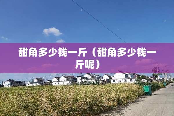 甜角多少钱一斤（甜角多少钱一斤呢）