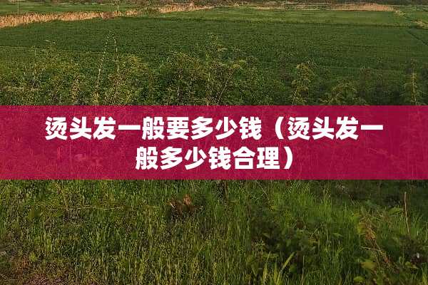 烫头发一般要多少钱（烫头发一般多少钱合理）