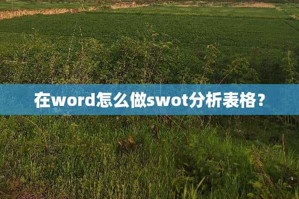 在word怎么做swot分析表格？