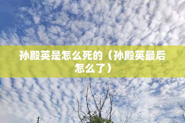 孙殿英是怎么死的（孙殿英最后怎么了）