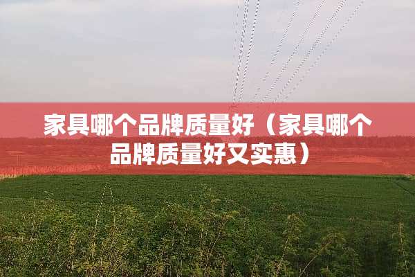 家具哪个品牌质量好（家具哪个品牌质量好又实惠）