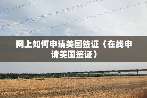 网上如何申请美国签证（在线申请美国签证）