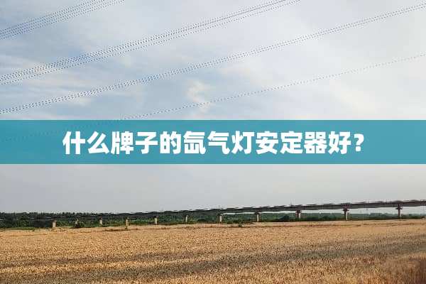 什么牌子的氙气灯**器好？