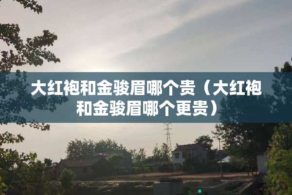 大红袍和金骏眉哪个贵（大红袍和金骏眉哪个更贵）