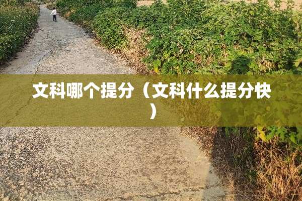 文科哪个提分（文科什么提分快）