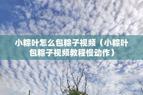 小粽叶怎么包粽子视频（小粽叶包粽子视频教程慢动作）