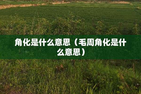 角化是什么意思（毛周角化是什么意思）