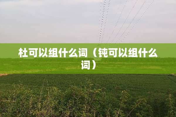杜可以组什么词（钝可以组什么词）