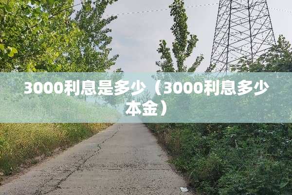 3000利息是多少（3000利息多少本金）