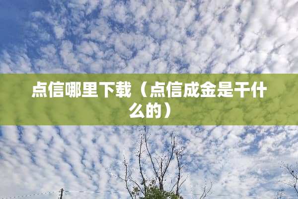 点信哪里下载（点信成金是干什么的）