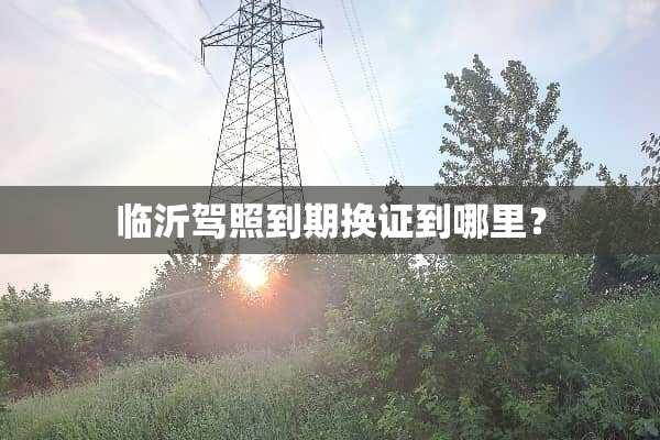 临沂驾照到期换证到哪里？