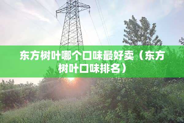 东方树叶哪个口味最好卖（东方树叶口味排名）
