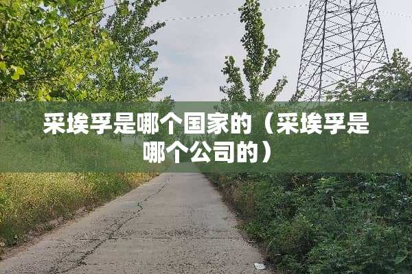 采埃孚是哪个国家的（采埃孚是哪个公司的）
