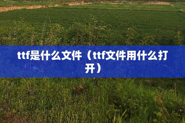 ttf是什么文件（ttf文件用什么打开）