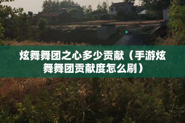 炫舞舞团之心多少贡献（手游炫舞舞团贡献度怎么刷）
