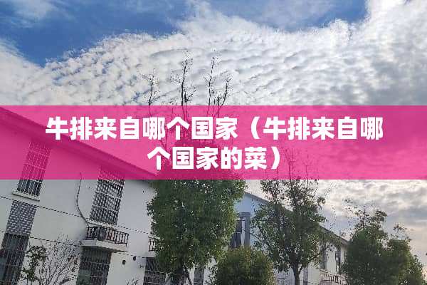 牛排来自哪个国家（牛排来自哪个国家的菜）