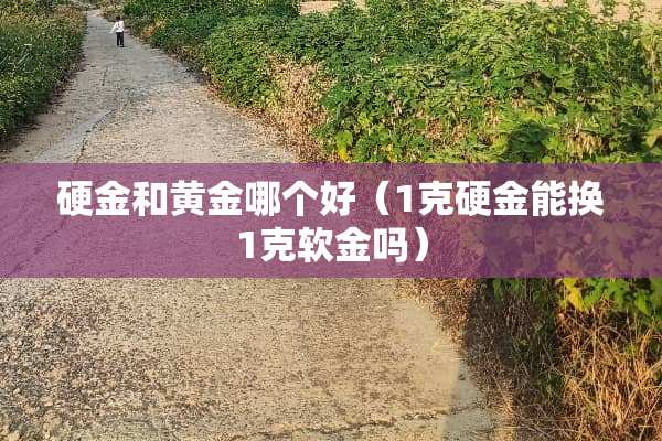 硬金和黄金哪个好（1克硬金能换1克软金吗）