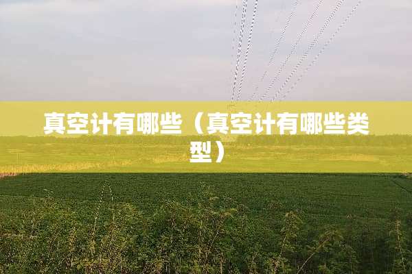 真空计有哪些（真空计有哪些类型）