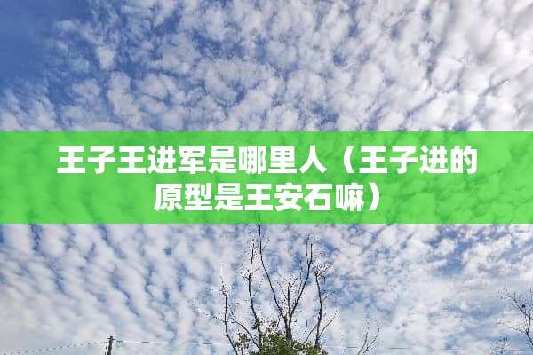 王子王进军是哪里人（王子进的原型是王安石嘛）