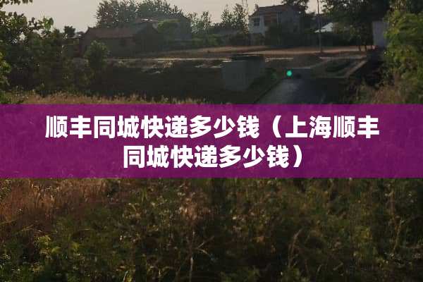 顺丰同城快递多少钱（上海顺丰同城快递多少钱）