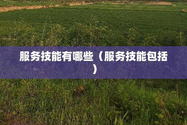 服务技能有哪些（服务技能包括）