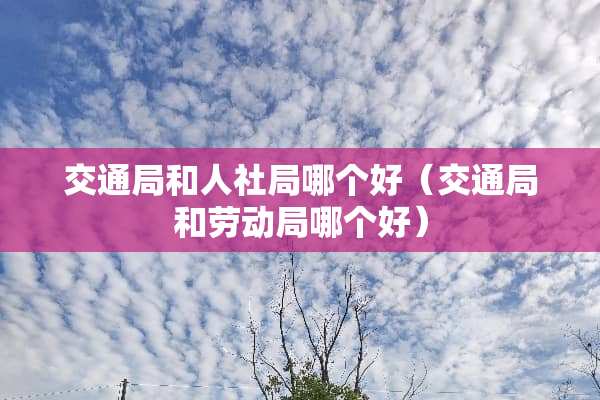 交通局和人社局哪个好（交通局和劳动局哪个好）