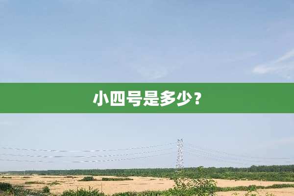 小四号是多少？