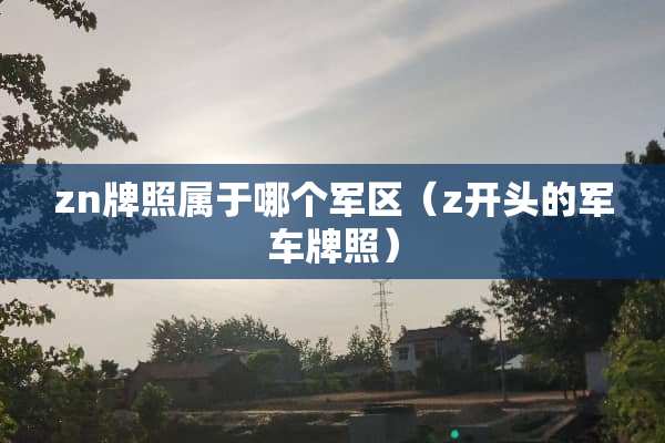 zn牌照属于哪个**（z开头的**牌照）