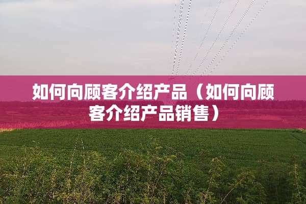 如何向顾客介绍产品（如何向顾客介绍产品销售）