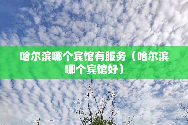 哈尔滨哪个宾馆有服务（哈尔滨哪个宾馆好）