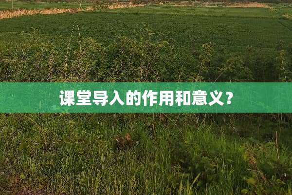 课堂导入的作用和意义？