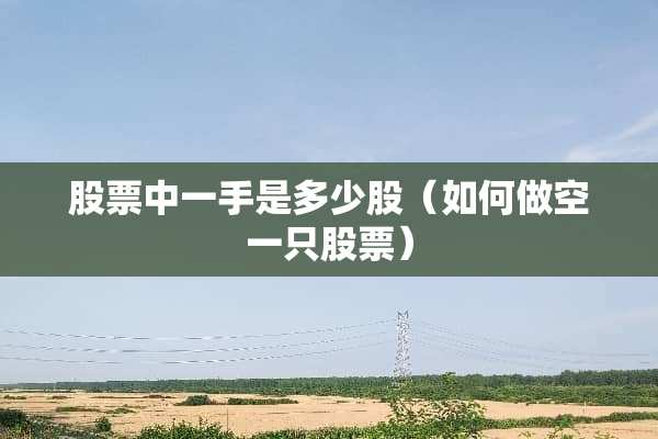 股票中一手是多少股（如何做空一只股票）