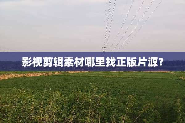 影视剪辑素材***正版片源？