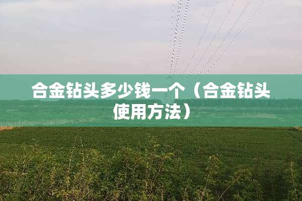 合金钻头多少钱一个（合金钻头使用方法）