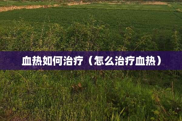 血热如何治疗（怎么治疗血热）