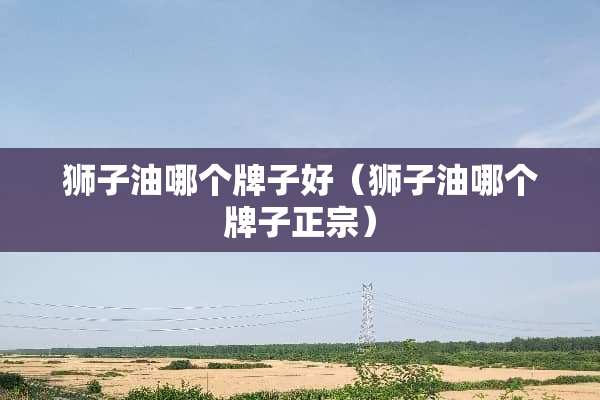 狮子油哪个牌子好（狮子油哪个牌子正宗）