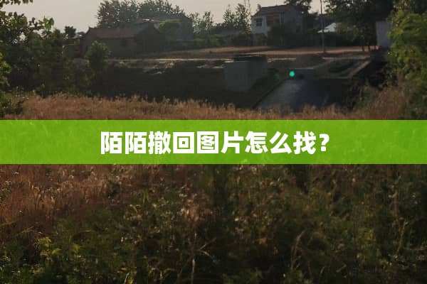 陌陌撤回图片怎么找？