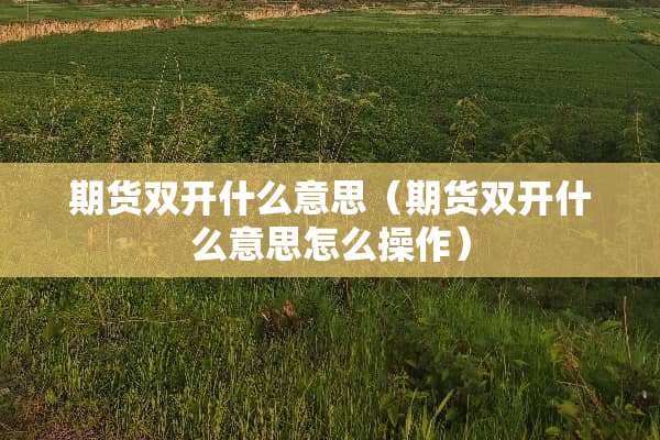 期货双开什么意思（期货双开什么意思怎么操作）