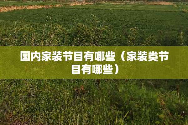 国内家装节目有哪些（家装类节目有哪些）